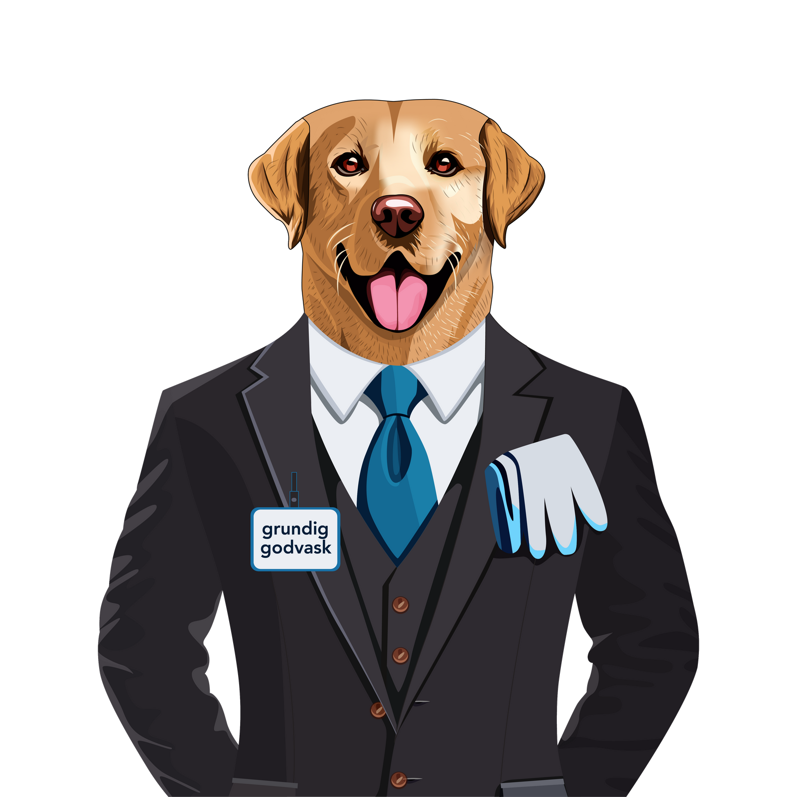 
                  Rengo: Rengjøringsekspert
                